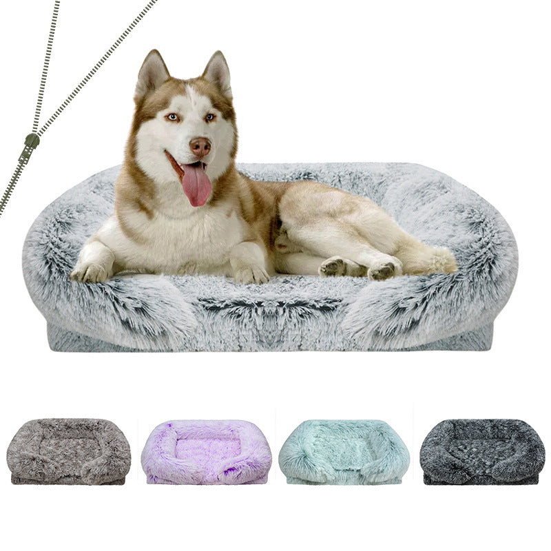 Pet Accessories