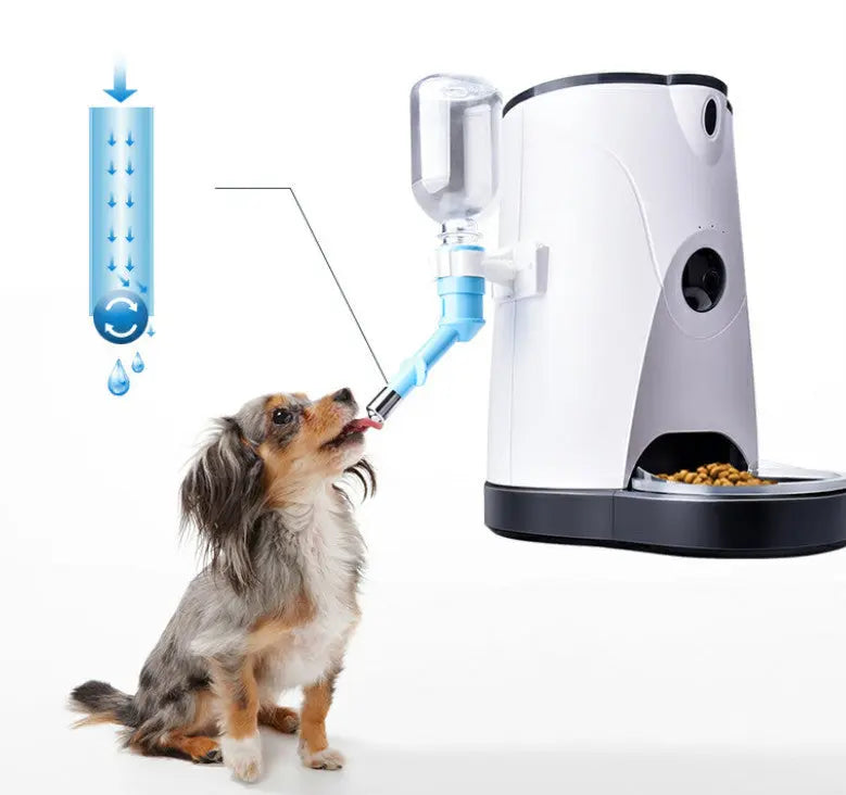 Pet Automatic Feeder S M A Group